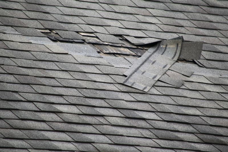 Asphalt Roof Repair
